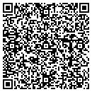 QR code with Chameleon Interiors contacts