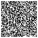 QR code with Carving Tree Framing contacts