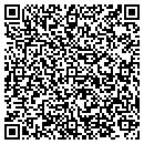 QR code with Pro Touch Day Spa contacts