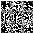 QR code with Pt Construction Inc contacts