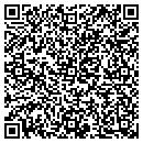 QR code with Progress Telecom contacts