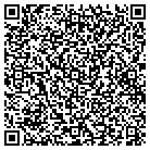 QR code with Professional Paintng Co contacts