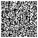 QR code with Public Phone contacts