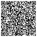 QR code with Premise Networks Inc contacts