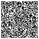 QR code with Print Professionals contacts