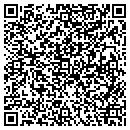 QR code with Priority 2 Inc contacts