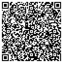 QR code with PPI Motor Sports contacts