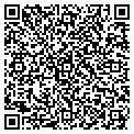 QR code with Curves contacts