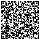 QR code with Print Doctor contacts