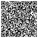 QR code with Processing One contacts