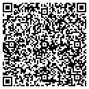 QR code with Professional Solutions Group contacts