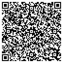 QR code with Public Storage contacts