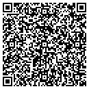 QR code with BLV Motorsports Inc contacts