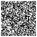 QR code with Purple Onion contacts