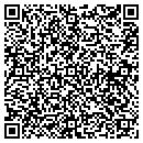 QR code with Pyxsys Corporation contacts