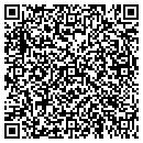 QR code with STI Services contacts