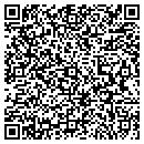 QR code with Primping Paws contacts