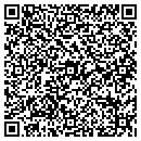 QR code with Blue Ridge Import Co contacts