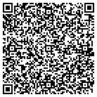 QR code with Amerint Service LLC contacts