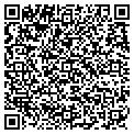 QR code with Intact contacts