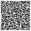 QR code with Purelets contacts