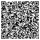 QR code with Public Works contacts