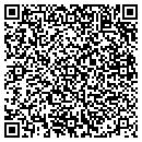 QR code with Premier Log Homes Inc contacts
