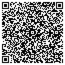 QR code with Conceptual Marketing contacts
