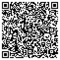 QR code with Detour contacts