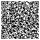 QR code with Princess Pad contacts
