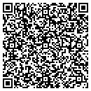 QR code with Problem Solved contacts