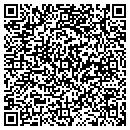 QR code with Pull-A-Part contacts