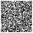QR code with Pulsar Capital Managers contacts