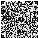 QR code with Carpet Systems Inc contacts