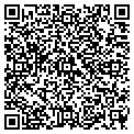 QR code with P Seay contacts