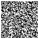 QR code with Stein Services contacts