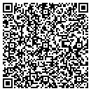 QR code with Public Allies contacts