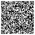 QR code with The Solutous Group contacts