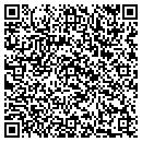 QR code with Cue Voice Corp contacts