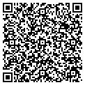 QR code with Dfg Consults Inc contacts