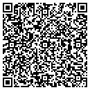 QR code with Backdoor The contacts