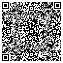 QR code with Professional Touch contacts