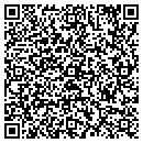 QR code with Chameleon Refinishing contacts