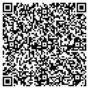 QR code with Professional Pipe Inc contacts