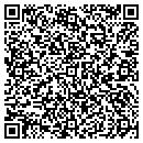 QR code with Premium Tanks & Stone contacts