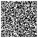 QR code with Capitol Pools & Spas contacts