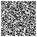 QR code with Cyber contacts