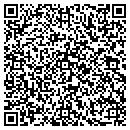 QR code with Cogent Testing contacts
