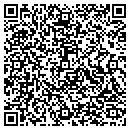 QR code with Pulse Corporation contacts