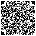 QR code with Devmir contacts